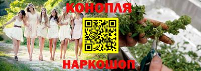 шишки Кингисепп