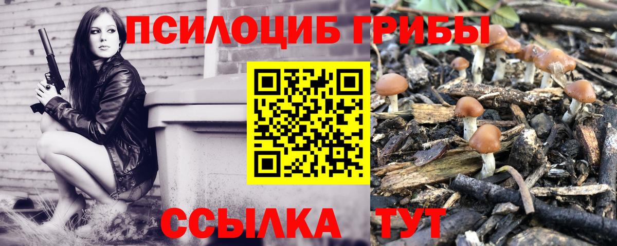 Псилоцибиновые грибы мухоморы Кольчугино