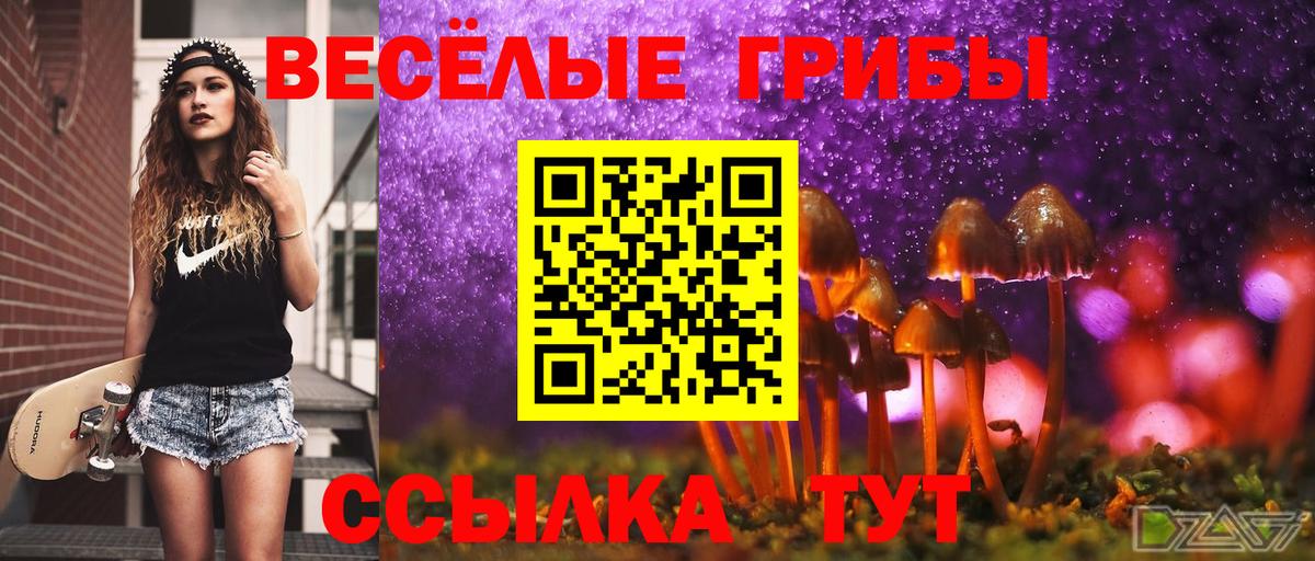 Псилоцибиновые грибы прущие грибы  Вход с VPN  Кольчугино 