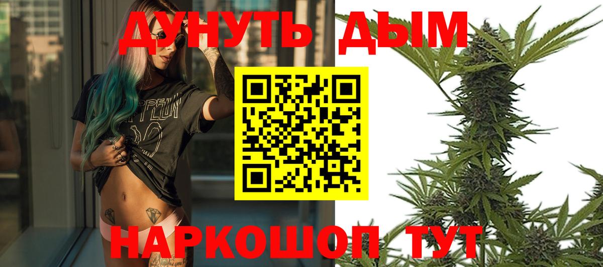 Шишки марихуана сатива Кольчугино